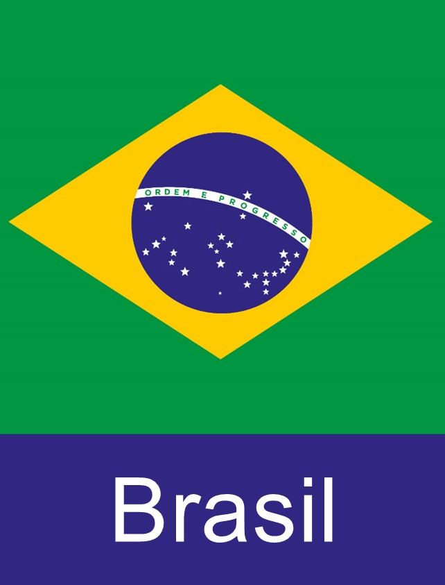 Apostila Para Concurso Brasil